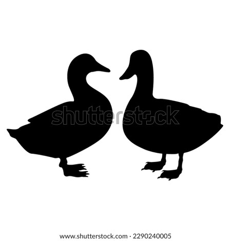 Set Vector two duck black silhouette animal icon illustration