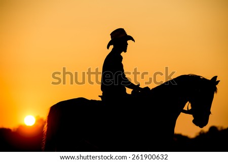 Silhouette of a young man with horse at the sunset