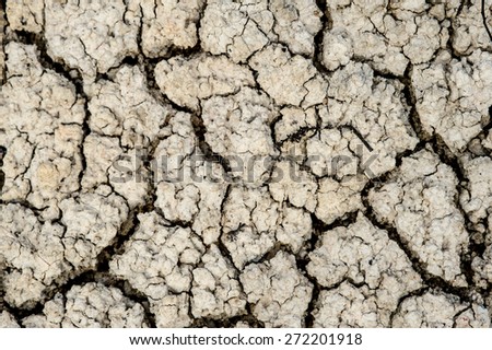 Details of a dried cracked earth soil.,cracked earth