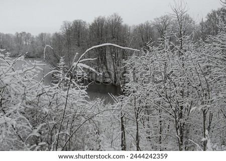 Similar – Image, Stock Photo snow from yesterday Winter