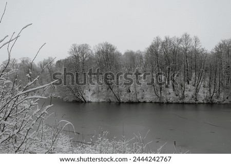 Similar – Image, Stock Photo snow from yesterday Winter