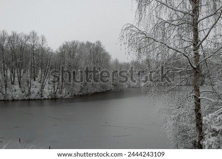 Similar – Image, Stock Photo snow from yesterday Winter