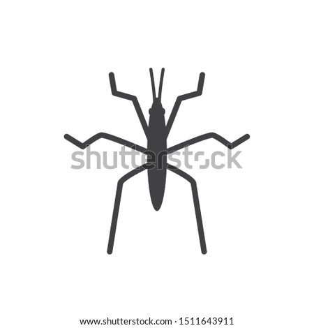 Water strider insect icon. flat simple pictogram. vector illustration