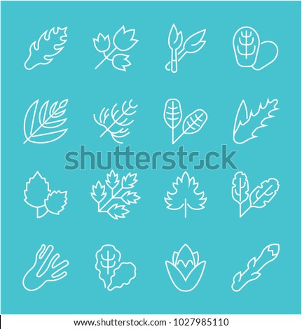 Collection of line white icons of greenery. Set of vector simple elements with bold outlines on a color background. Info graphics signs and pictograms.