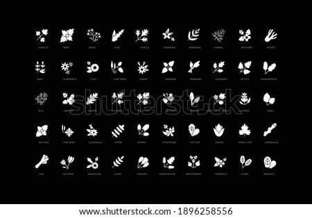 Herbs and Seasonings. Collection of perfectly simple monochrome icons for web design, app, and the most modern projects. Universal pack of classical signs for category Food and Drink.