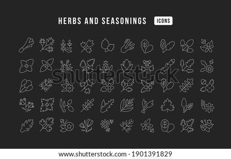 Herbs and Seasonings. Collection of perfectly thin icons for web design, app, and the most modern projects. The kit of signs for category Food and Drink.