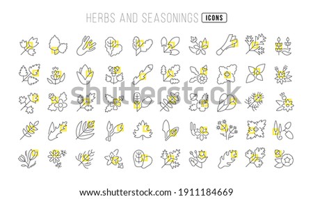 Herbs and Seasonings. Collection of perfectly thin icons for web design, app, and the most modern projects. The kit of signs for category Food and Drink.