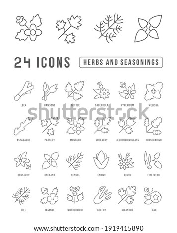 Herbs and Seasonings. Collection of perfectly thin icons for web design, app, and the most modern projects. The kit of signs for category Food and Drink.