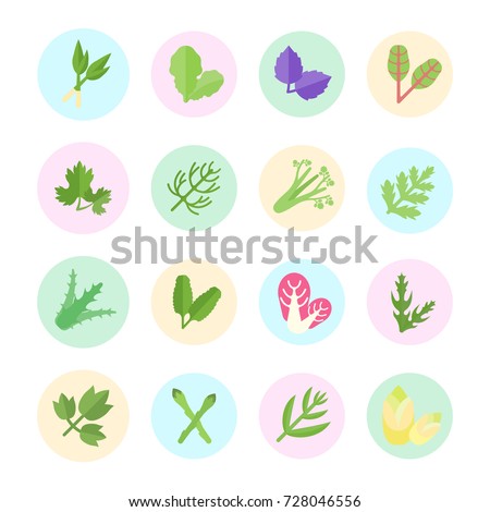 Set vector illustration of greenery. Flat elements on white background.