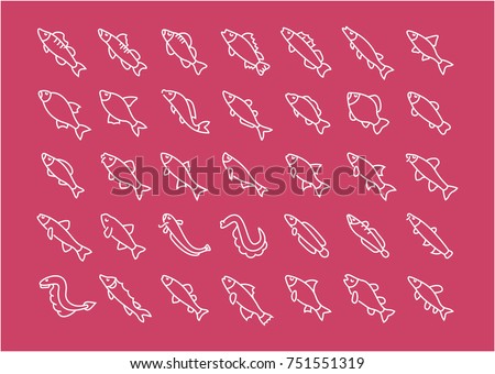 Collection of line white icons of freshwater fish. Set of vector simple elements with bold outlines on a color background. Info graphics signs and pictograms.