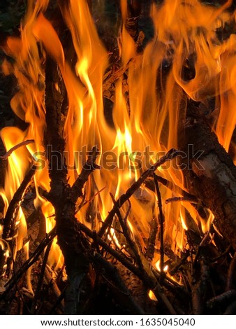 Shutterstock Puzzlepix