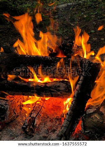 Shutterstock Puzzlepix