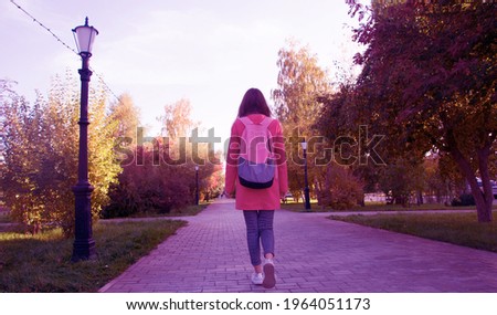 Similar – Image, Stock Photo Anonymous traveler with lantern admiring lake against mountain at night