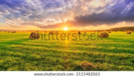 Image, Stock Photo Making hay