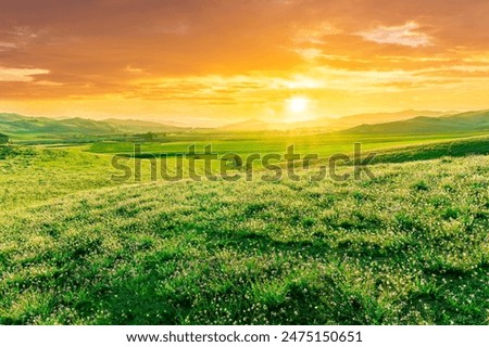 Similar – Image, Stock Photo An amazing golden hill in the Andes like a vein of gold