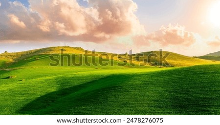 Similar – Image, Stock Photo An amazing golden hill in the Andes like a vein of gold