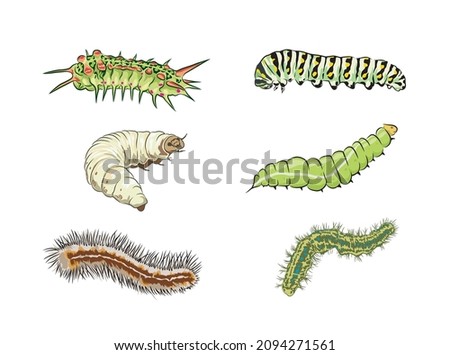 Collection of spring and summer colorful caterpillars. Pretty caterpillars different silhouette isolated. For festive card, banner, children, pattern, tattoo, decorative, Vector illustration