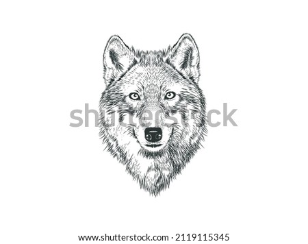 wolf head vector hand drawn. smiling wolf isolated