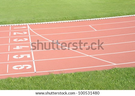 Start and finish line of running track sports field