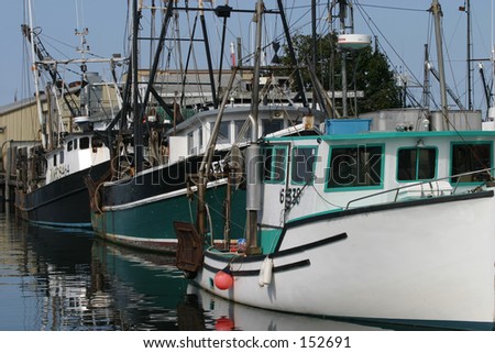 Fishing fleet