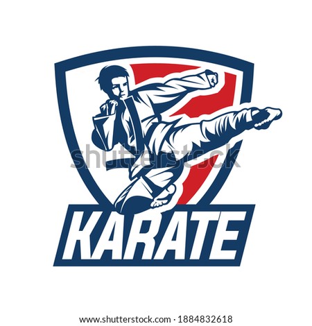 karate kick fight logo vector