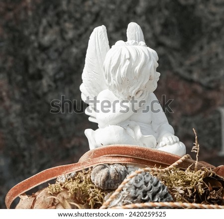 Image, Stock Photo dear angels Angel Grave