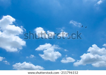 Tiny Clouds with blue sky and  birds
