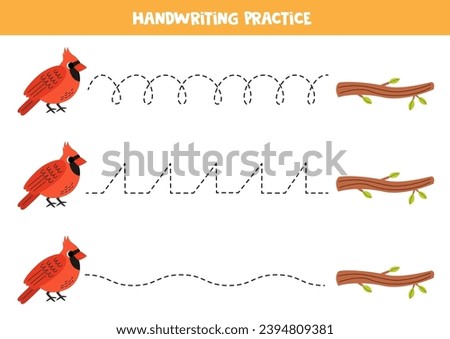 Tracing lines for kids. Cute cartoon red cardinal and tree branch. Handwriting practice for children.