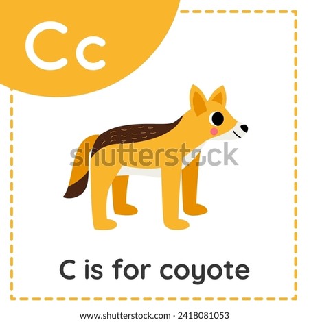 Animal alphabet flashcard for children. Learning letter C. C is for coyote.
