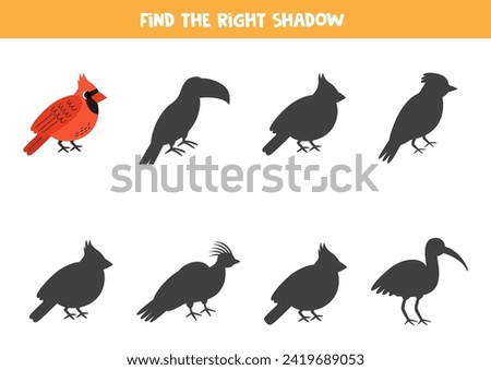 Find the right shadow of cute red cardinal bird. Educational logical game for kids. Printable worksheet for preschoolers.