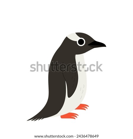 Vector illustration of cute gentoo penguin isolated on white background.