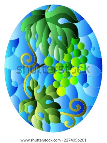 The illustration in stained glass style painting with a bunch of green grapes and leaves on a sky  background, oval image 