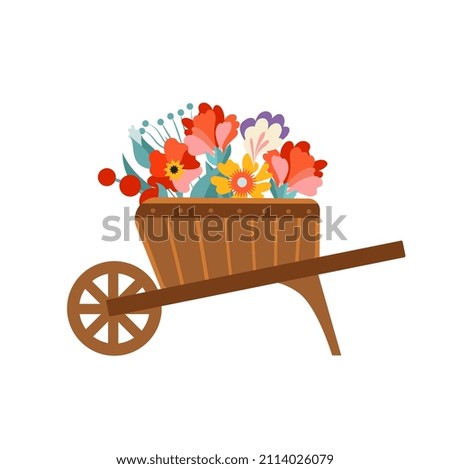 Wooden wheelbarrow with flowers for planting. Vector illustration isolated on white background.