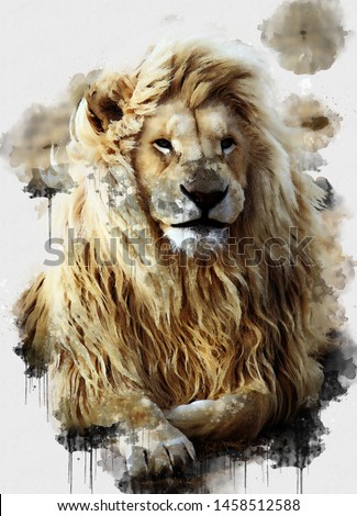Digital watercolor painting of Lion. Digital art. Digital watercolour painting of Beautiful image of a Lion King relaxing on a warm day. Isolated painting of Brown lion. Abstract Animal Wallpaper