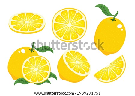 Cartoon Lemon Illustration set collection