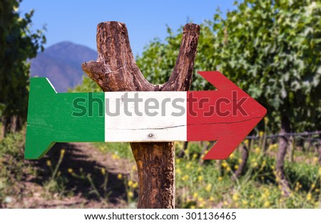 Italy Flag wooden sign with winery background