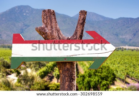 Hungary Flag wooden sign with winery background
