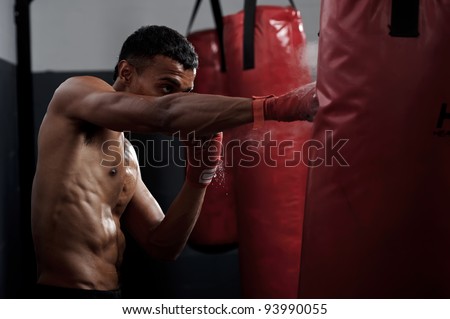 action of a boxing martial arts fighter training on a punching bag in the gym