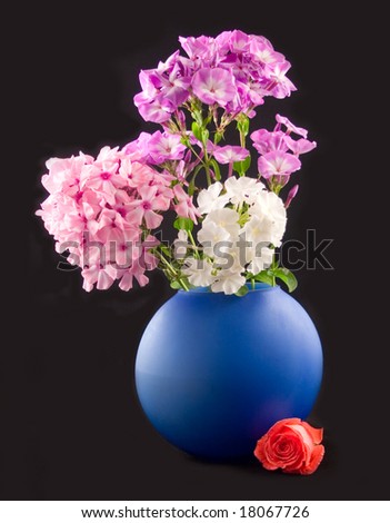 flower of scarlet rose at bottom dark-blue vases with bouquet on black background