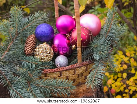 christmas decorations spheres in yellow basket on birch stub with branch - Birch Christmas Decorations christmas decorations spheres in yellow basket on birch stub with branch - Birch Christmas Decorations