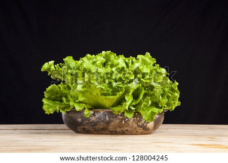 fresh green lettuce on wooden table on black background