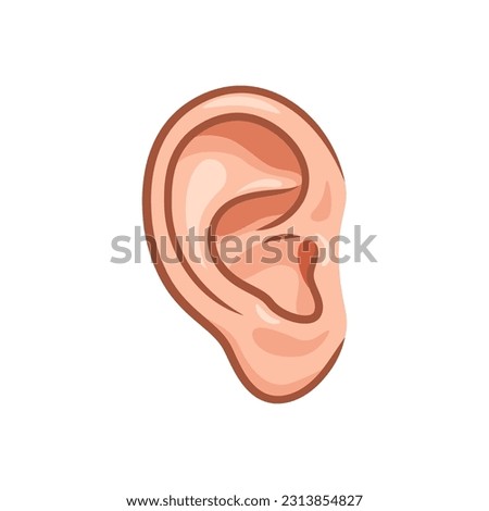 Human ear vector isolated on white background.
