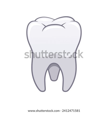 Molar teeth vector isolated white background.