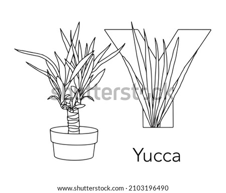 German or Deutsch Plant Floral Alphabet for the kids: letter Y - Yucca. Vector letter and character.
Cartoon colorless line art Illustration Stock foto © 
