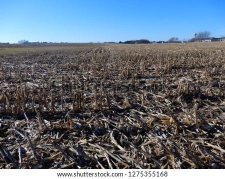 Similar – Image, Stock Photo snowless January Meadow