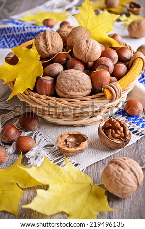 Taken together, walnuts and hazelnuts are in the basket on the maple leaves background