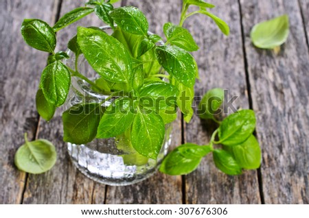 Fresh basil with water drops in a glass container on a wooden surface