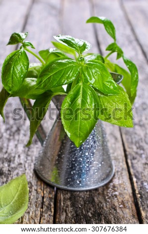 Fresh Basil with drops of water in a metal container on a wooden surface