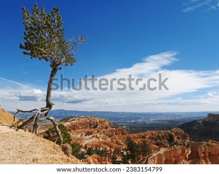 Similar – Foto Bild Bryce Canyon Umwelt Natur