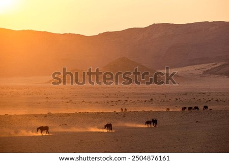 Similar – Image, Stock Photo windswept Wind Walking